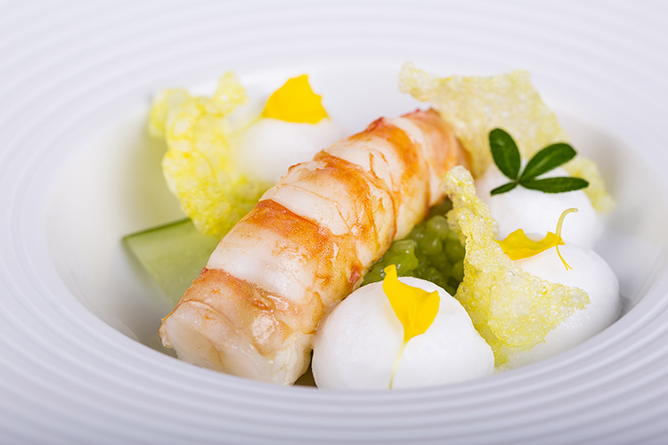 Mazzancolle, gin tonic, cetrioli e tapioca croccante