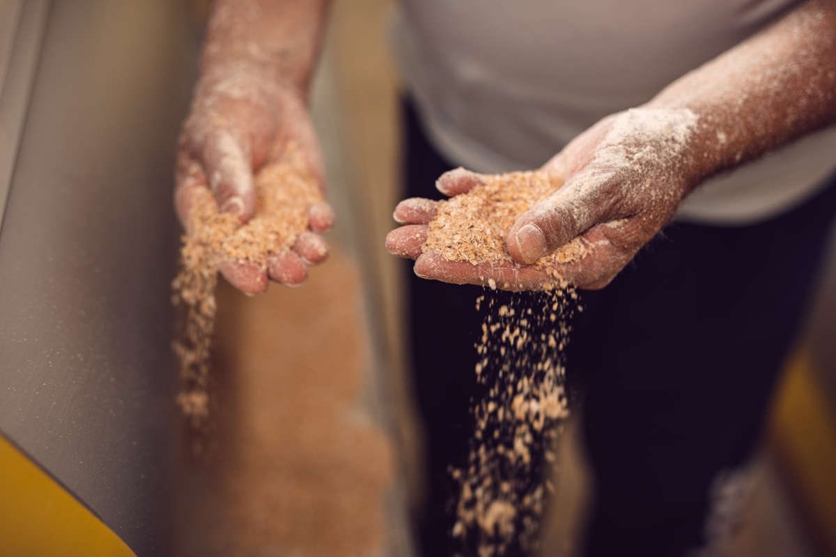 Molino Paolo Mariani: simbiosi unica tra territorio, grano e uomo