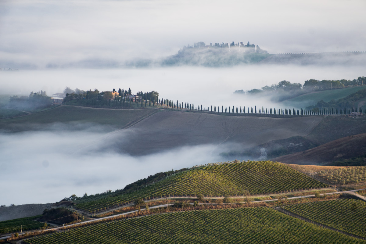 Gli enoturisti pazzi per Montalcino Montalcino, l’enoturismo segna livelli record aspettando il nuovo Brunello