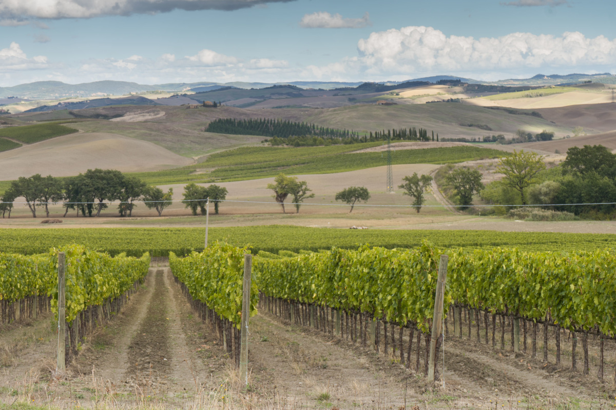 Montalcino, per europei e americani 