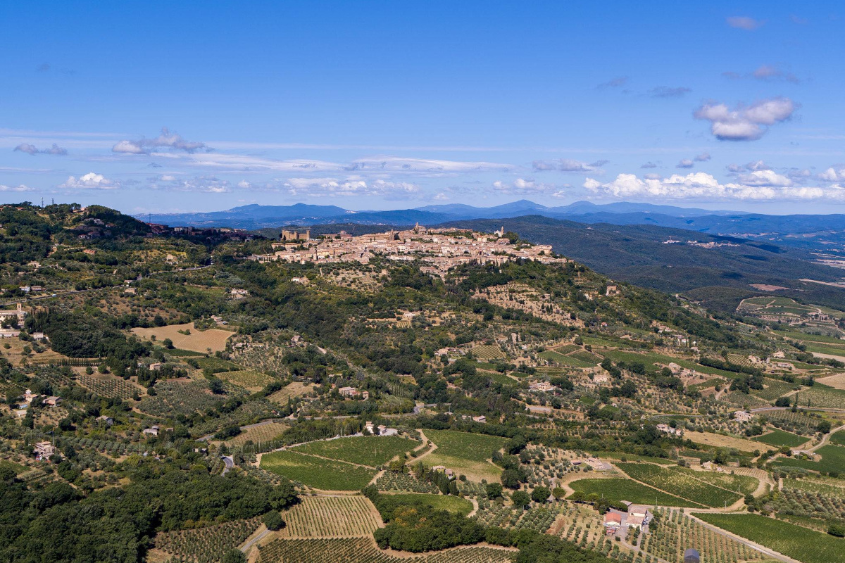 Quarant'anni di Rosso di Montalcino: le migliori etichette da non perdere