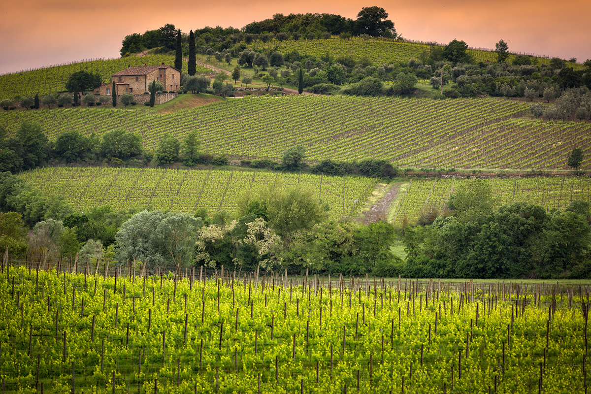 Montalcino, per europei e americani 