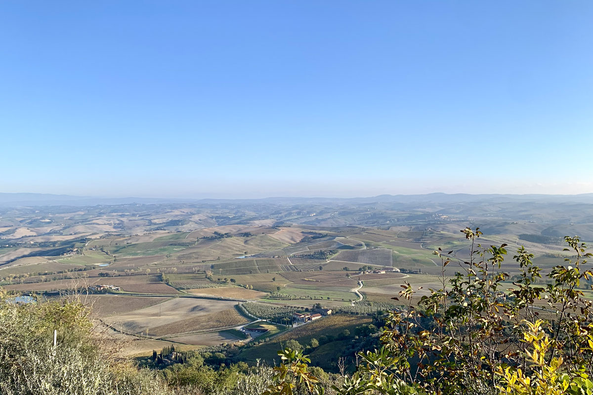 Benvenuto Brunello, il vino di domani tra sostenibilità ed enoturismo