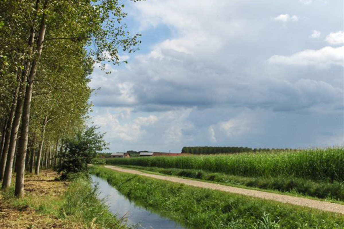 Viaggio nella Cittaslow per le giornate delle foreste e dell'acqua Viaggio nella Cittaslow per le giornate delle foreste e dell'acqua