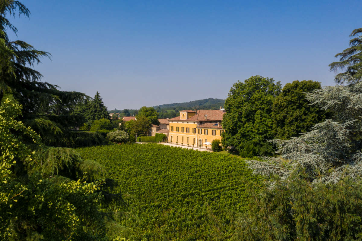 Mosnel, tornano gli eventi all'aperto. Da non perdere il pic-nic in vigna