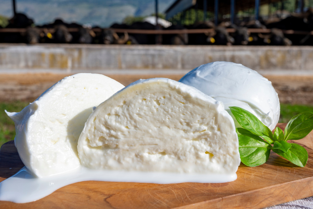 Mozzarella di bufala