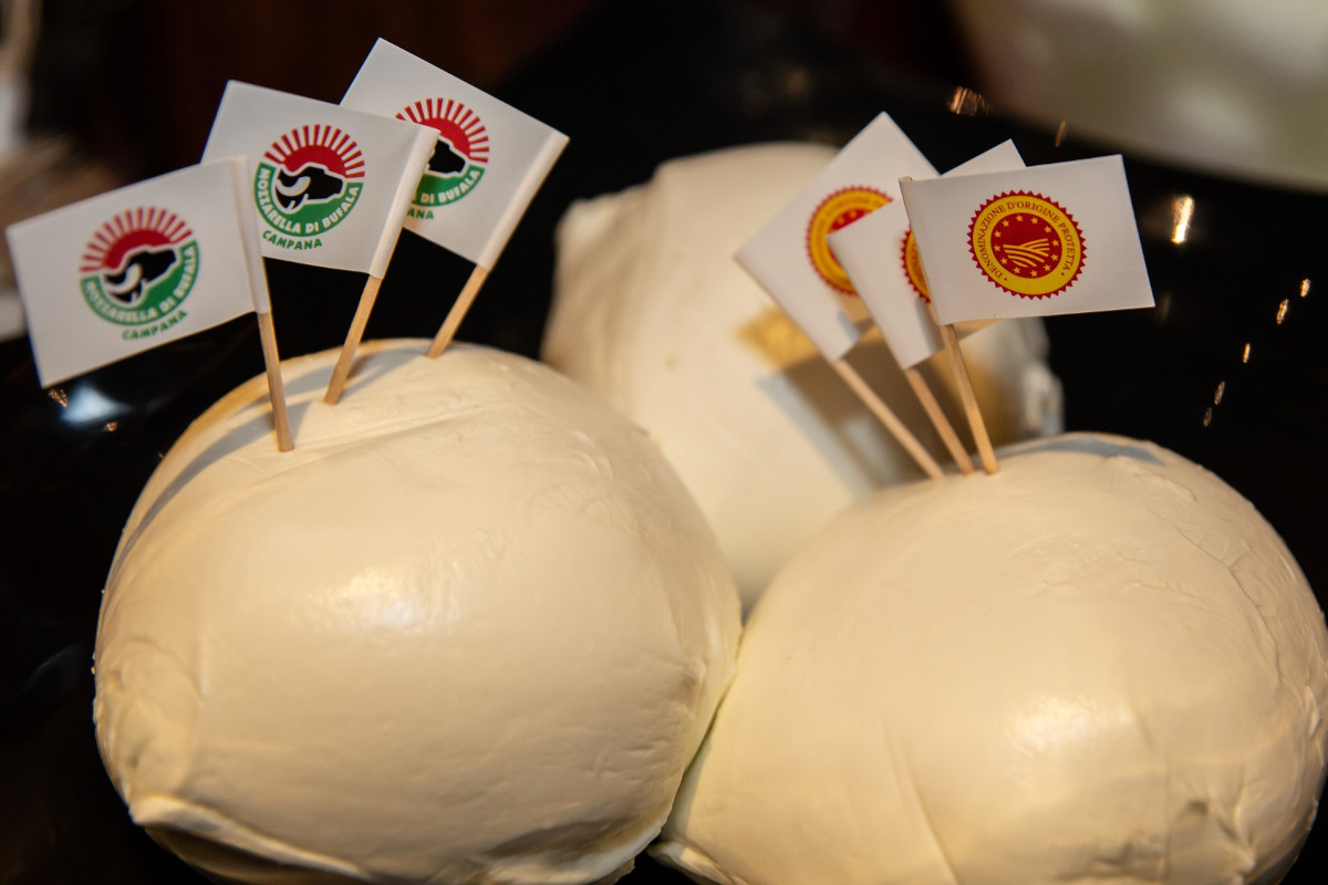 Napoli ospita il 1° congresso internazionale sulla mozzarella di bufala campana