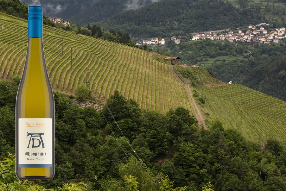 Dürer in Trentino: quando l'arte incontra il vino Pojer & Sandri