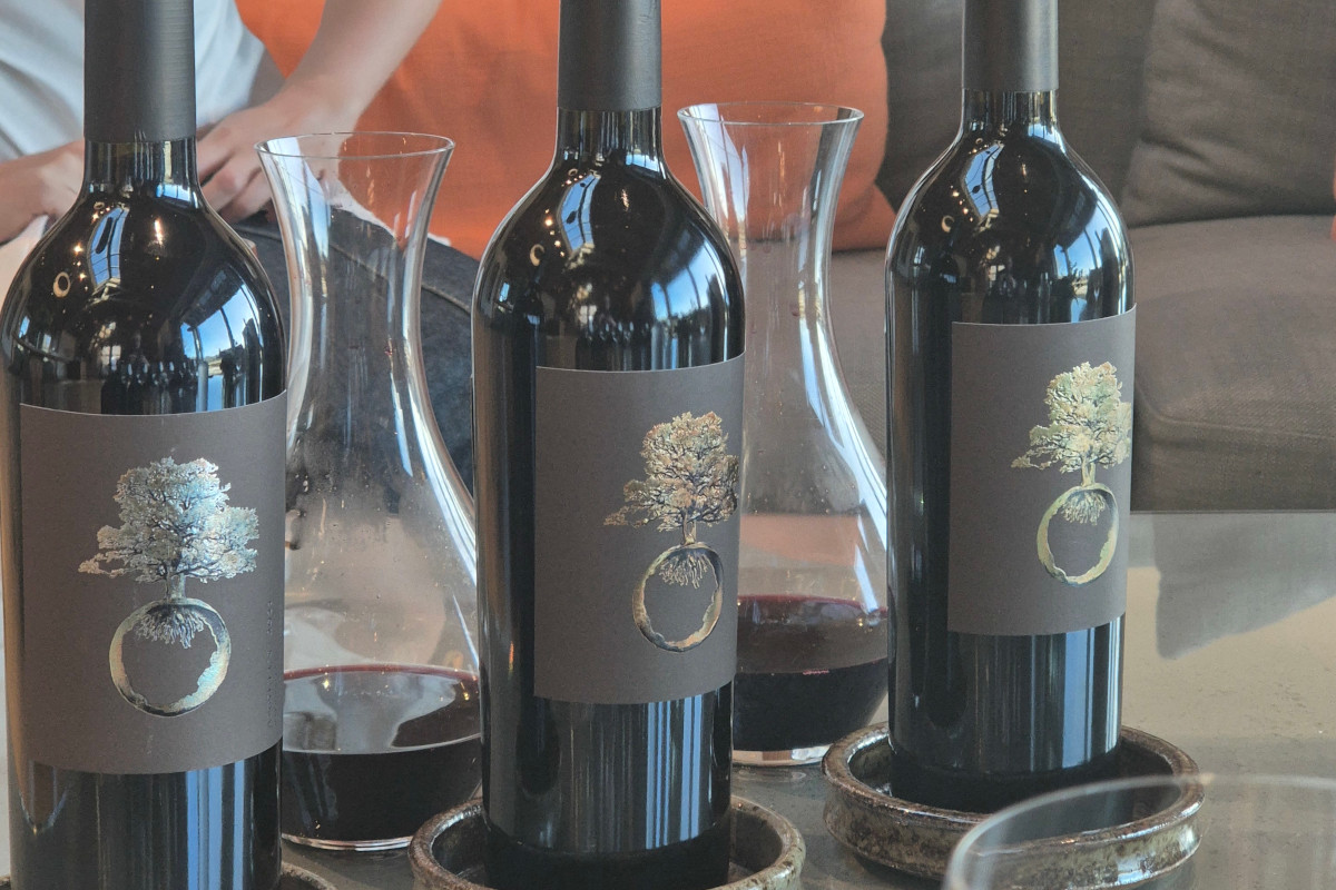 Viaggio in Napa Valley e Sonoma County: le cantine da non perdere