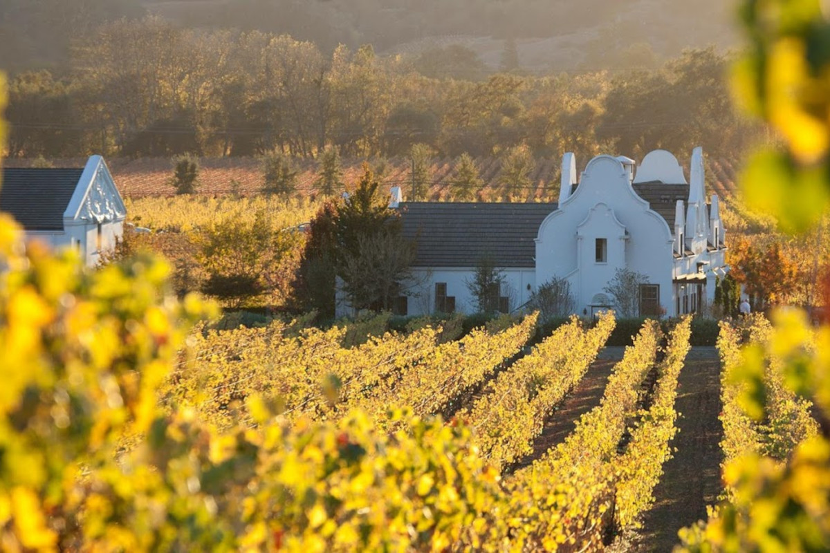 Viaggio in Napa Valley e Sonoma County: le cantine da non perdere