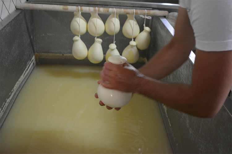 Nebrodi Cheese Festival Emozioni globali, prodotti locali