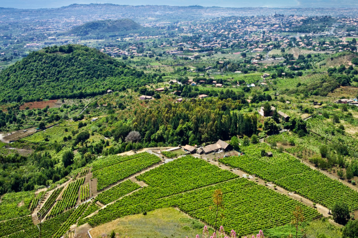 Monte Gorna Gli spumanti dell’Etna di Cantine Nicosia tre versioni di personalità