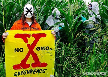 Credito foto: Greenpeace