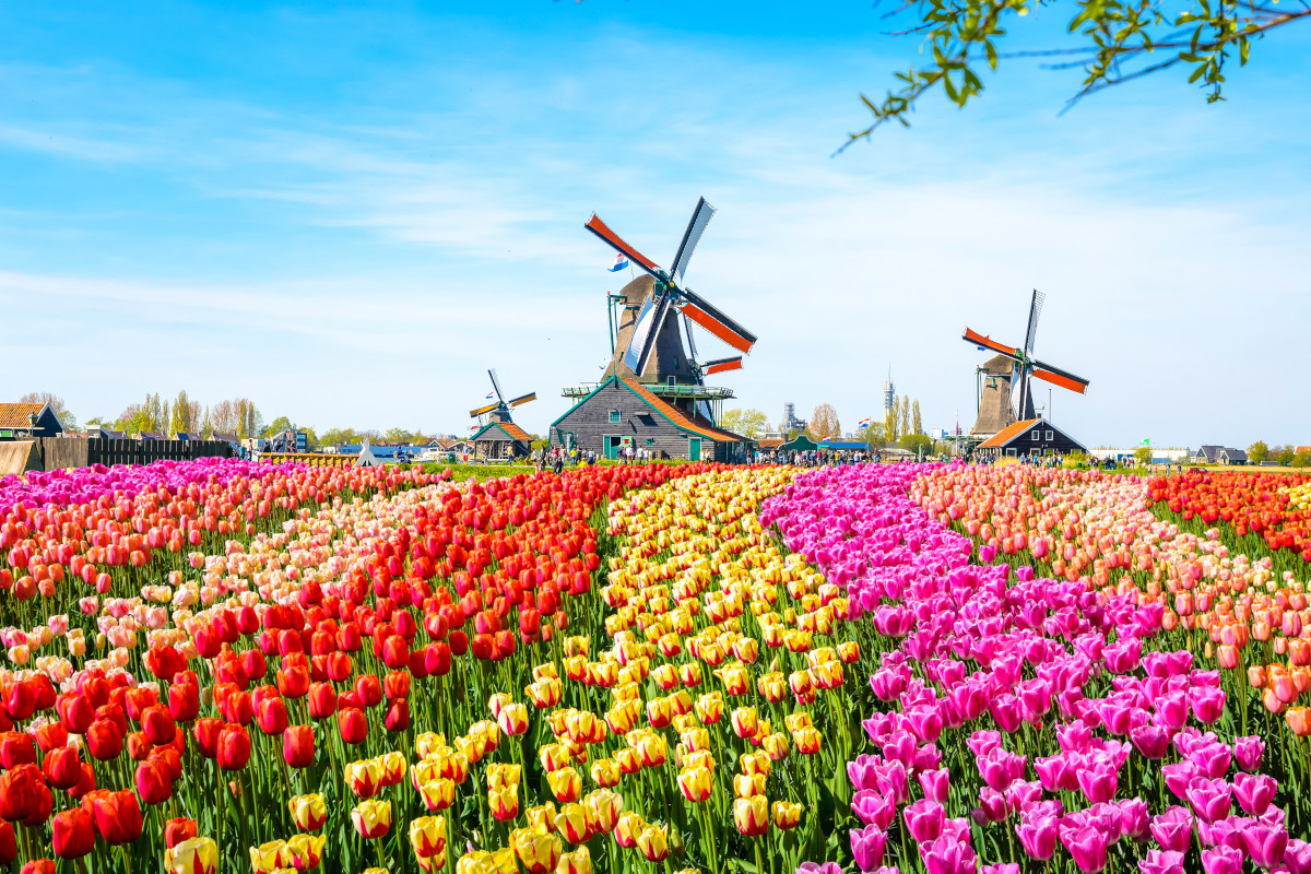 I viaggi imperdibili per godere della primavera: l'Italia solo 11ª