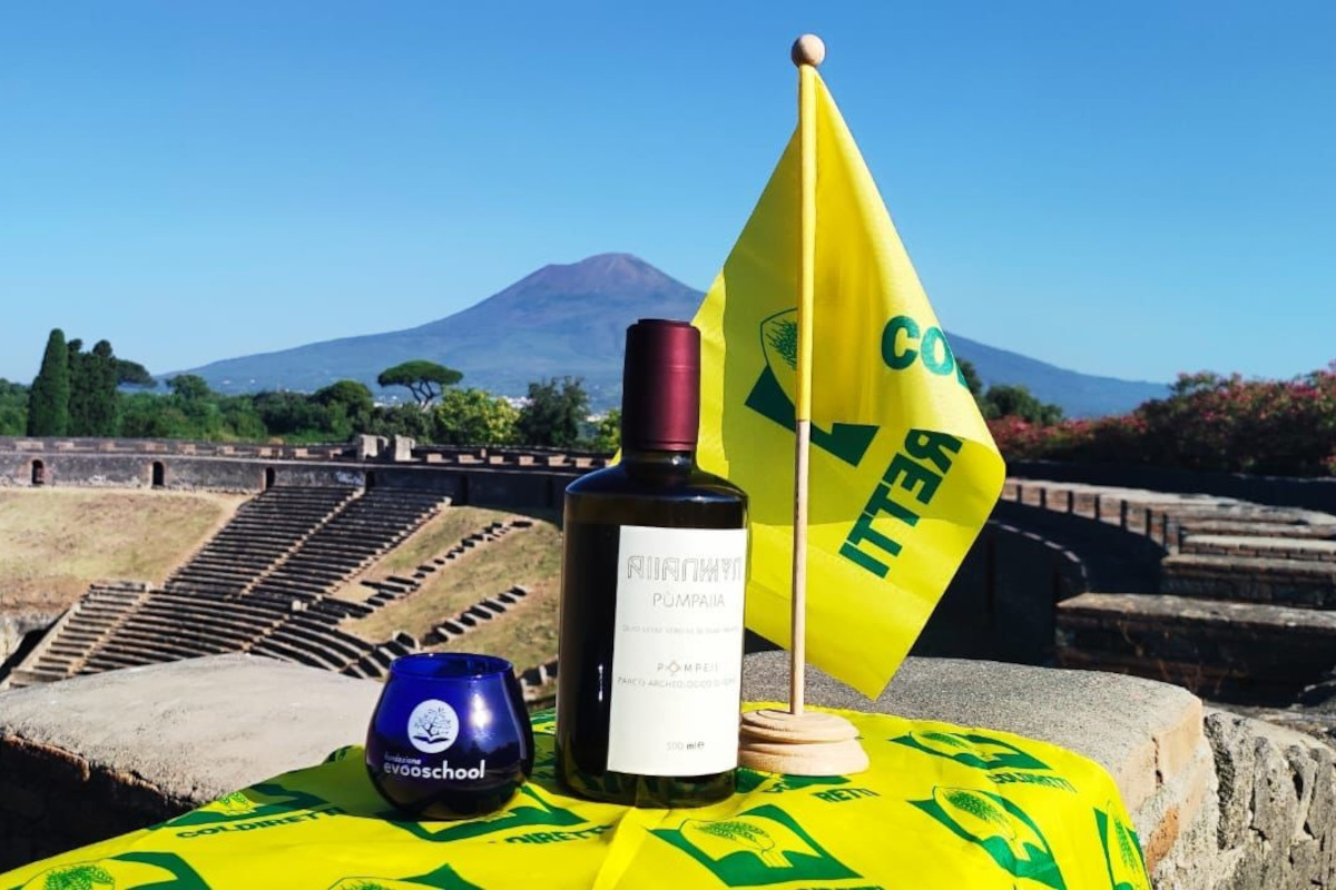 Torna dopo migliaia di anni l'olio di Pompei: sosterrà la candidatura all'Unesco