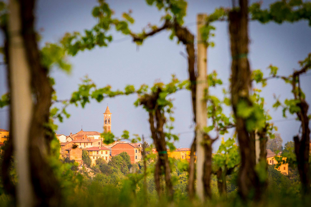 Tasting and Discover Autumn in Oltrepò Pavese. Foto: Facebook Consorzio Vini Oltrepo Autunno in Oltrepò? Il test dei professionisti