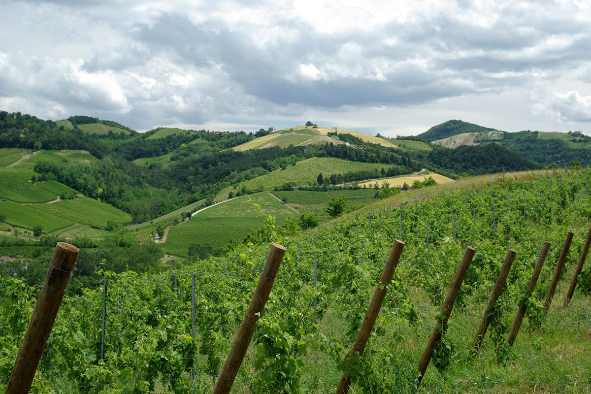 Uno scorcio dell'Oltrepò Pavese La promozione vincente di un territorio, Oltrepò, dopo il Giro la Mille Miglia?