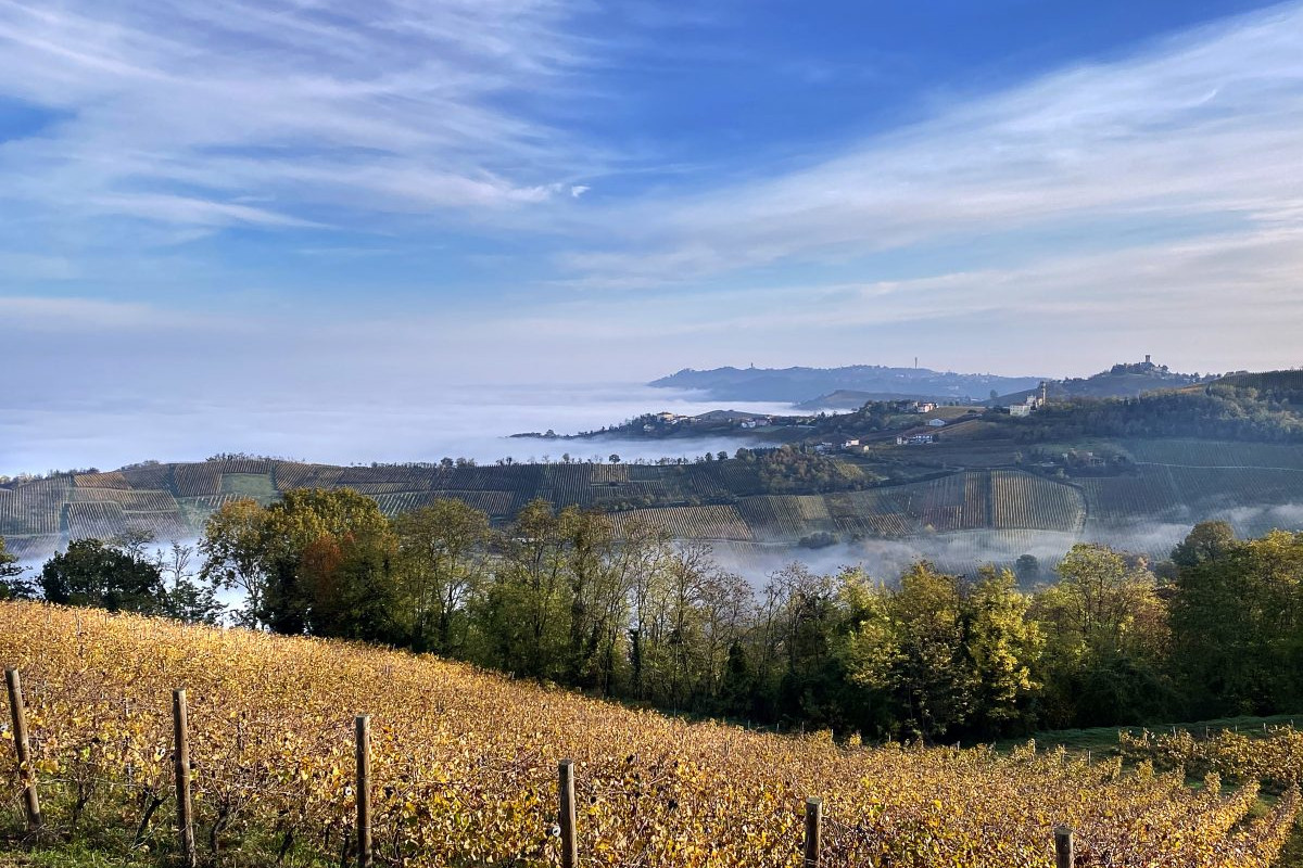 Prove di fusione tra Terre d'Oltrepò e Torrevilla?