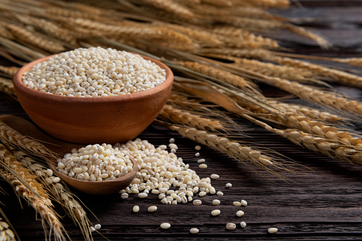 L'orzo (Hordeum vulgare) è un cereale antichissimo Orzo un cereale perfetto a tavola in tutte le stagioni