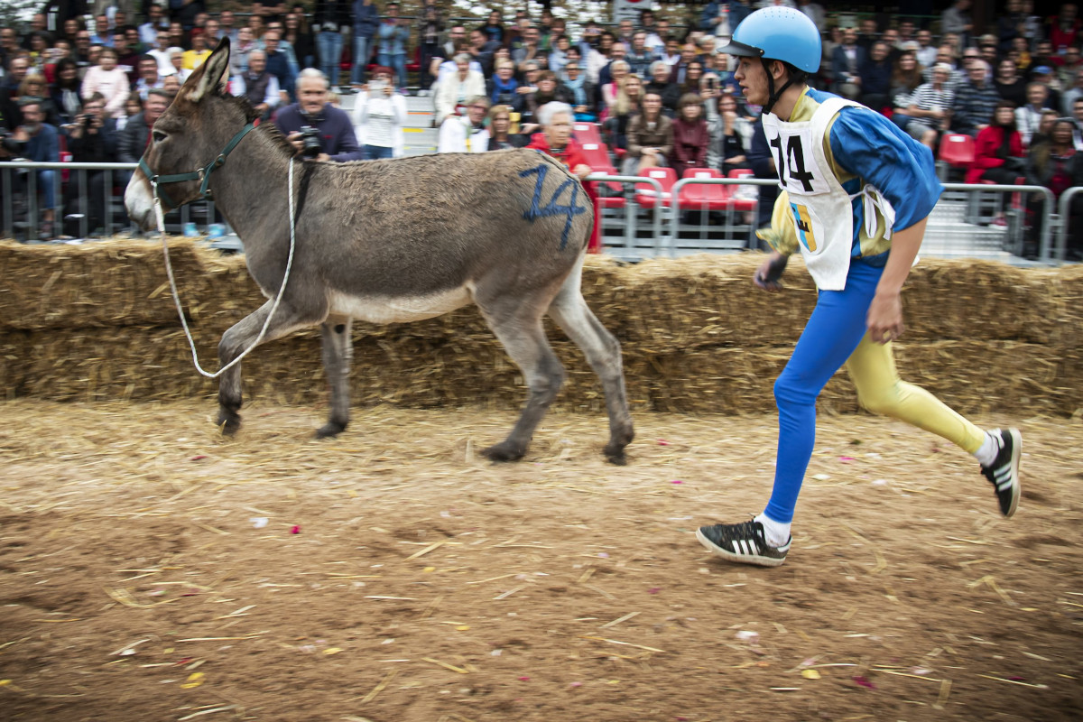 Il Palio degli Asini (Foto Giorgio Perottino) La sostenibilità è il tema della 92ª Fiera del Tartufo di Alba