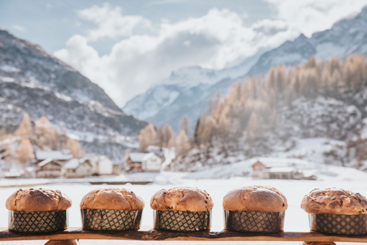 I panettoni e pandori dei grandi chef italiani. Ecco come e dove comprarli