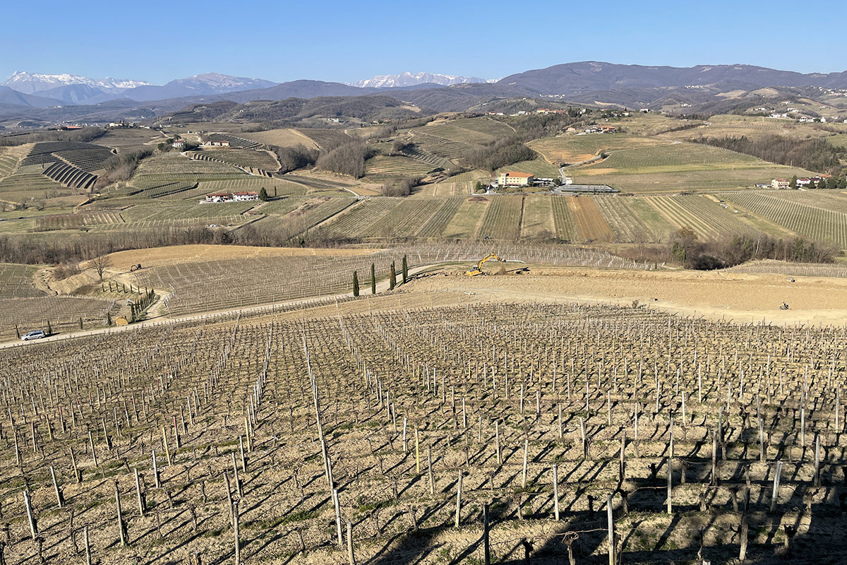 Panoramica dei vigneti, sullo sfondo la Slovenia Livon lancia la sfida del Pinot Nero