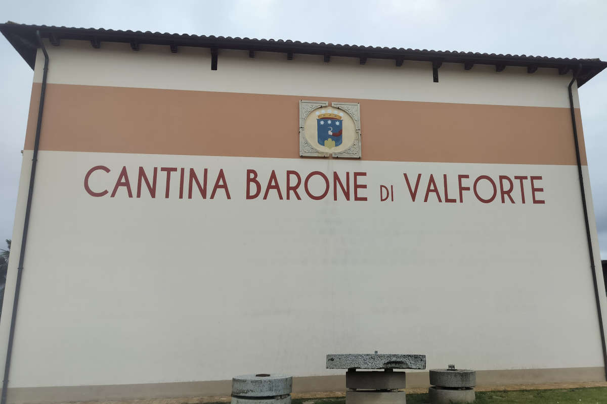 Colline Teramane: il Montepulciano d’Abruzzo in tutte le sue sfumature Colline Teramane: il Montepulciano d’Abruzzo in tutte le sue sfumature