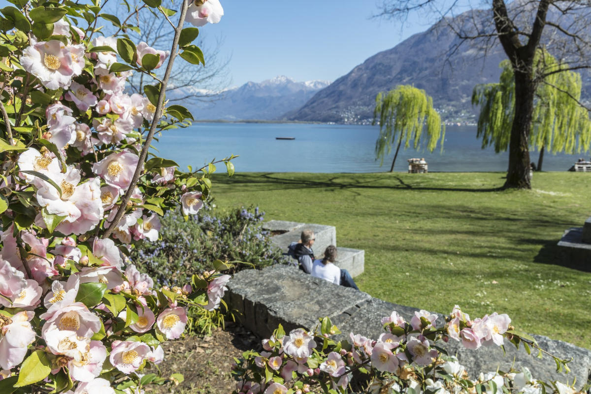 Il parco delle Camelie: colori e sapori della Svizzera più autentica 