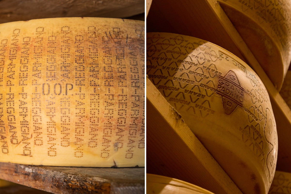 Parmigiano Reggiano e Grana Padano protagonisti al Summer Fancy Food Show