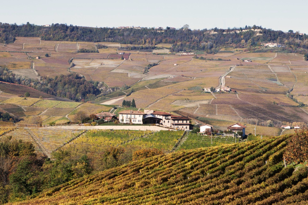 Scoprire i vini della famiglia Parusso in una degustazione al buio