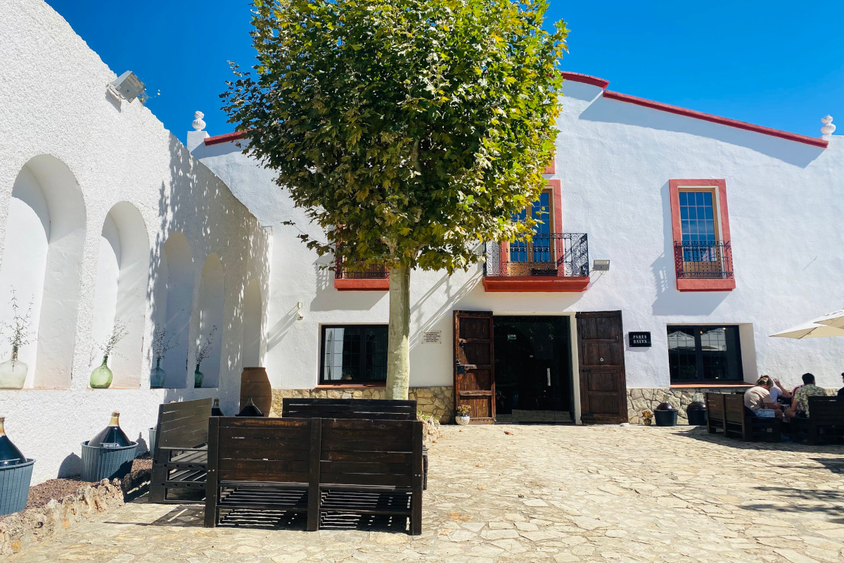 Viaggio fra le vigne del Penedès, la terra del Cava vicino a Barcellona
