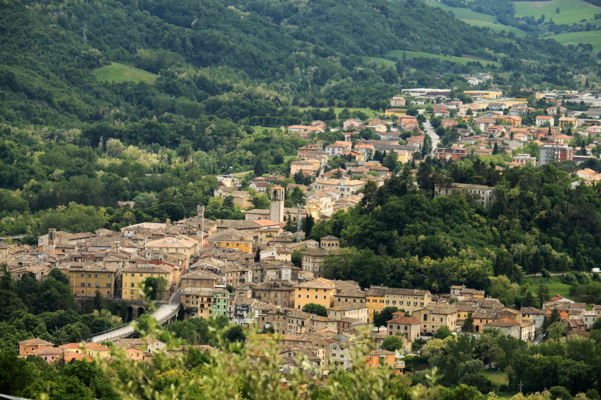 Pesaro: riscoperta di un territorio enologico tra boschi, colline e mare