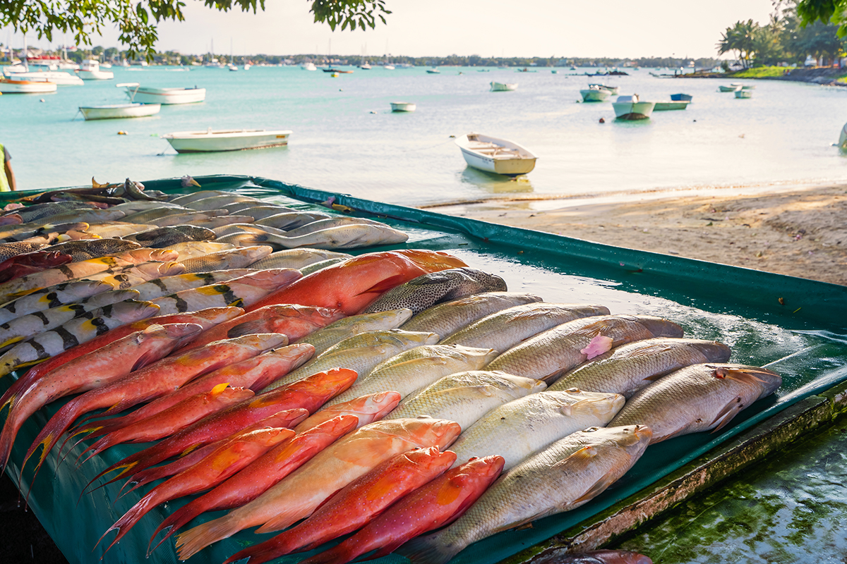 Il pesce è il re della cucina creola 