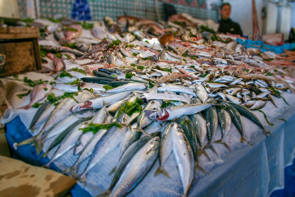 La spesa per il pesce fresco è tornata a salire:  19,6% in 9 mesi