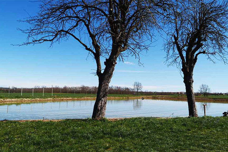 Peschiera a Ceresole d'Alba La tinca di Ceresole d&rsquo;Alba Antico pesce del territorio