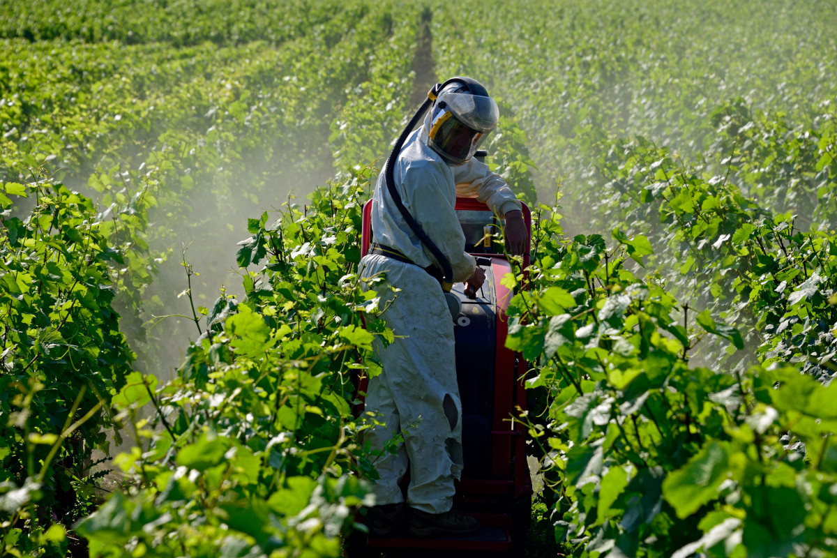 Vino e pesticidi: fronte comune di Italia, Francia e Spagna contro l'Ue