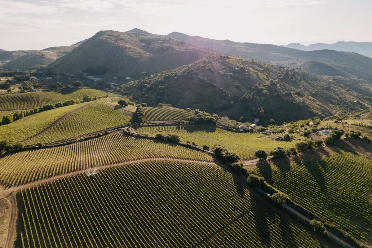 Il territorio di montagna siciliano nei “vini d'altura” di Baglio di Pianetto