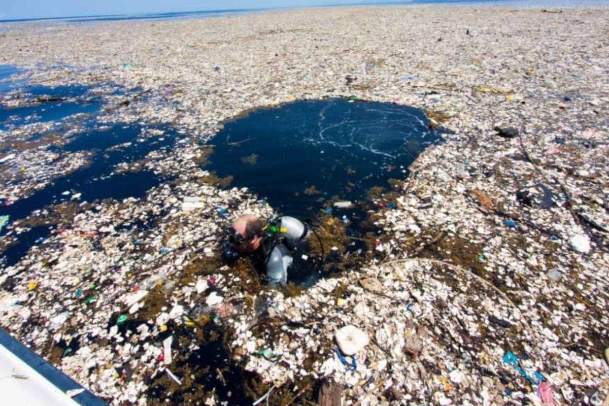 Nei mari, situazione oltre il limite Nuova direttiva sulla plastica, facciamo chiarezza