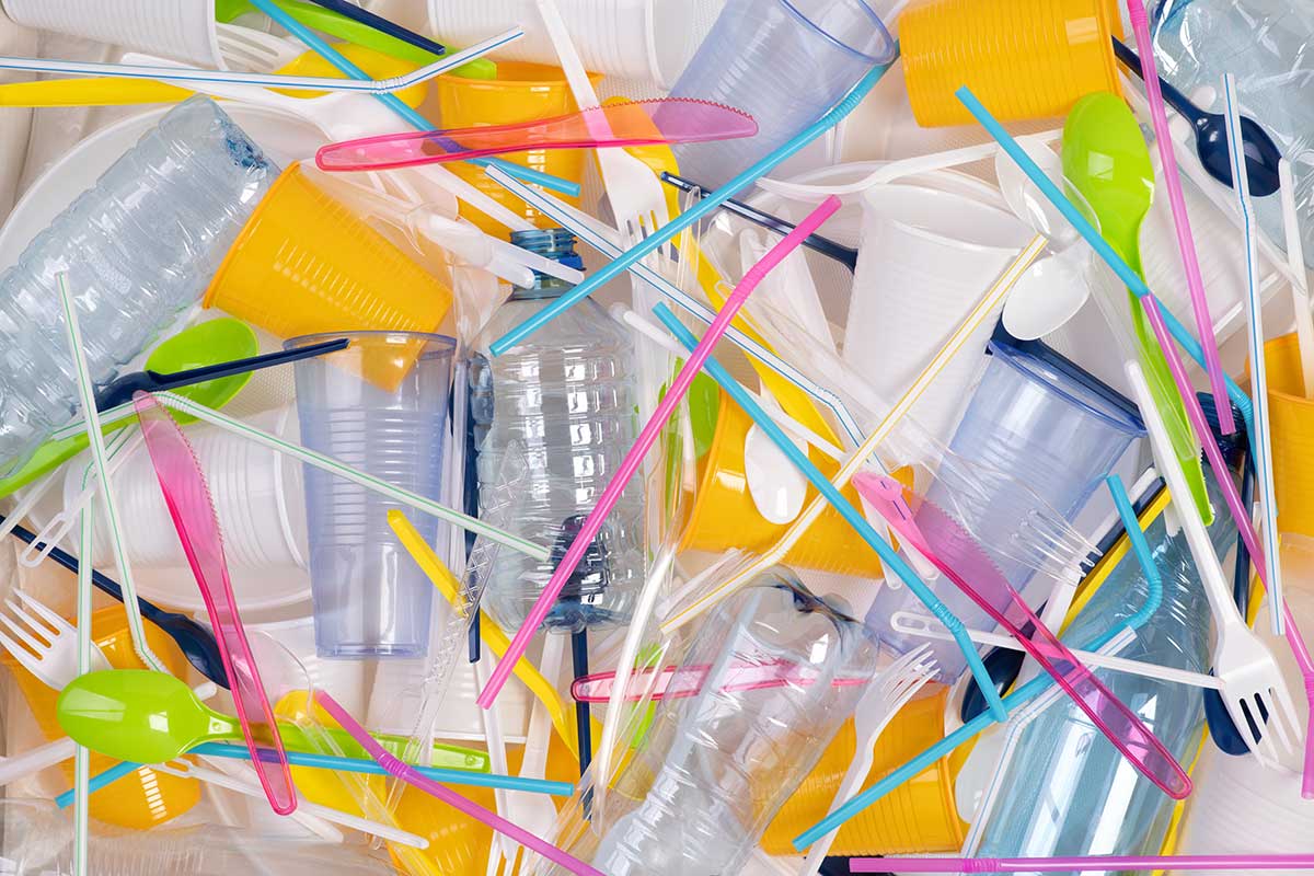 Plastica monouso, l'Italia si allinea all'Europa ma con due eccezioni L'Italia si allinea all'Europa sulla plastica monouso, ma con due eccezioni