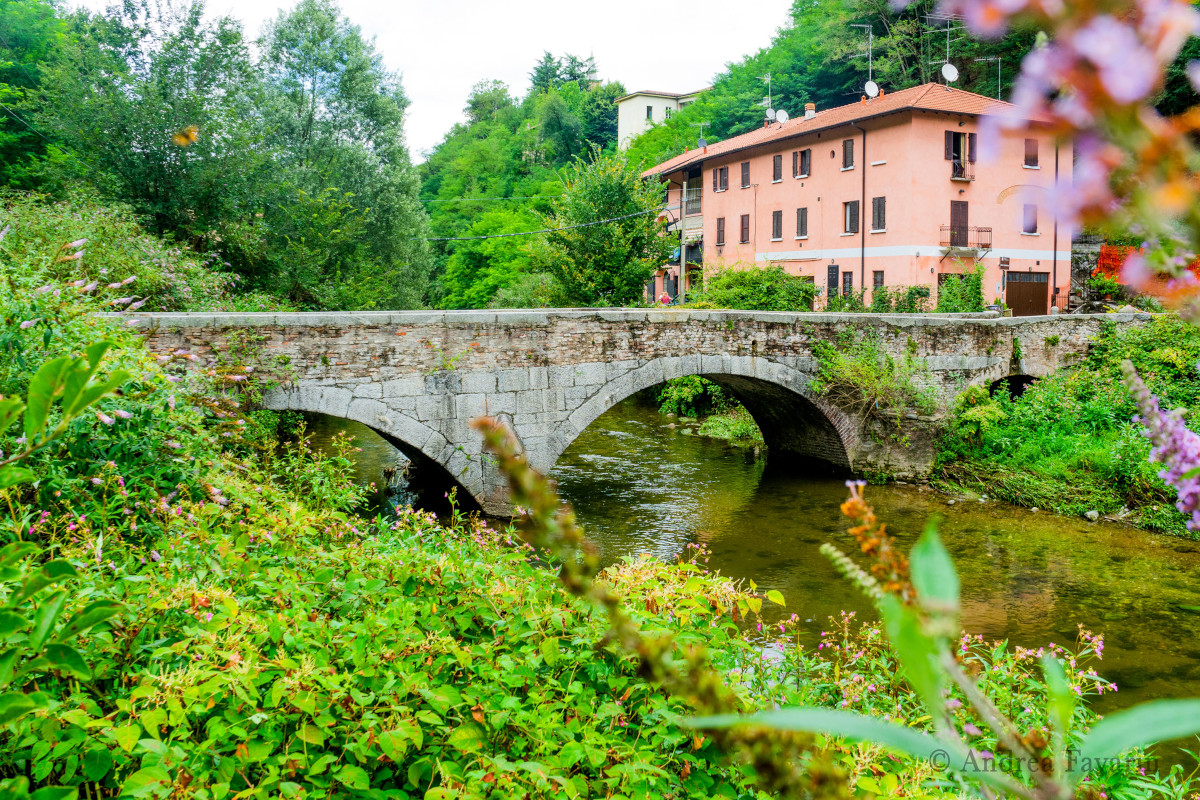 Viaggio nella Cittaslow per le giornate delle foreste e dell'acqua Viaggio nella Cittaslow per le giornate delle foreste e dell'acqua