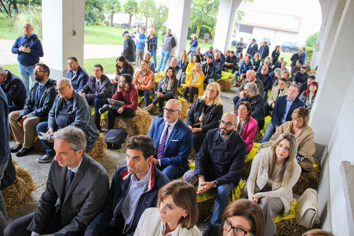 Riso, il Carnaroli compie 80 anni: le celebrazioni di Coldiretti Pavia