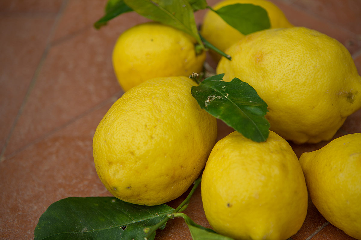 Limoni di Procida Giro del Golfo in otto giorni: Procida, oasi di bellezza e di cultura