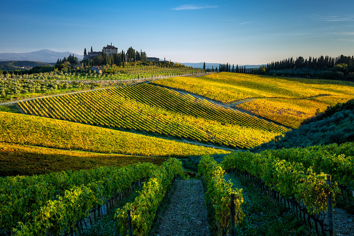 Con le Uga, il Chianti Classico Gran Selezione si fa in undici