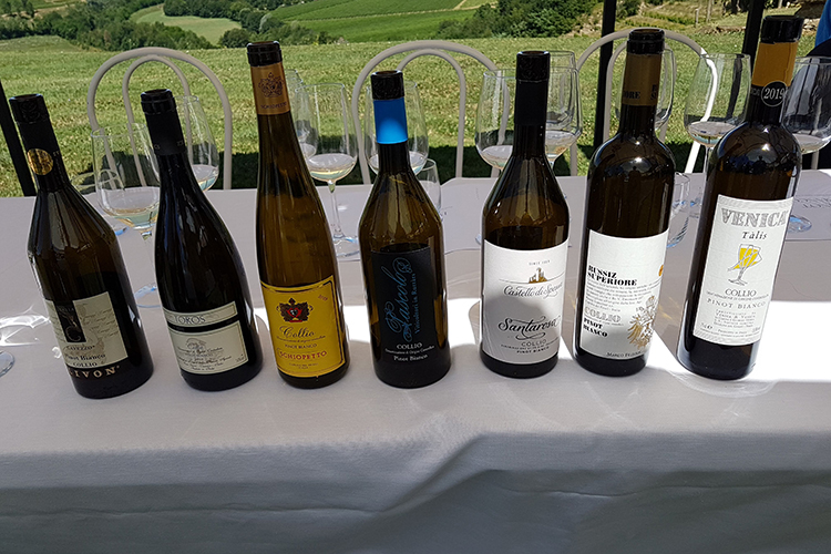 7 vini, 7 viaggi, 7 emozioni Sette aziende per il Pinot Bianco Rete d’impresa nel Collio