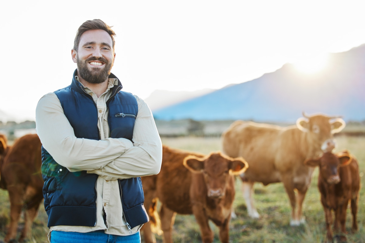 Biologica e sostenibile: come valorizzare la carne al ristorante