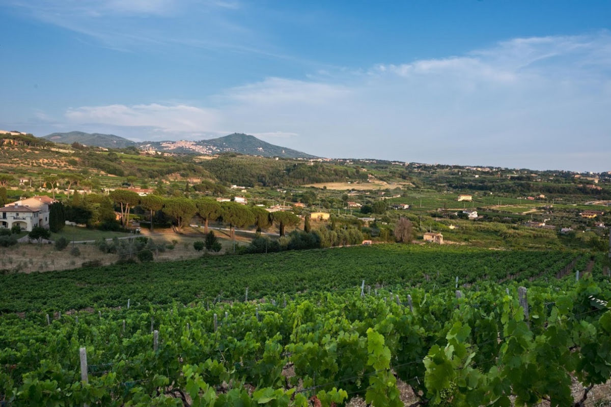 Alcuni vigneti romani Consorzio Roma Doc festeggia la milionesima bottiglia al Merano Wine Festival