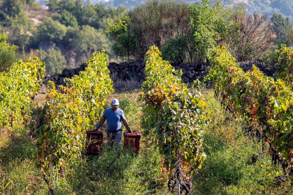 Vini vulcanici: la viticoltura eroica della famiglia Russo sull'Etna