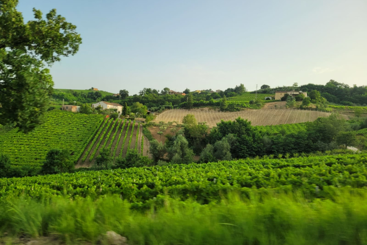 Benevento e il Sannio: vini, accoglienza e storia millenaria 