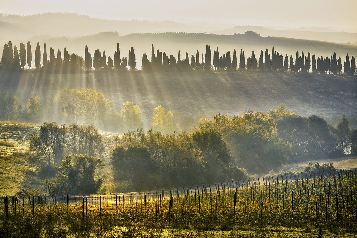 Le sfide  di Ais Toscana: “Apertura al territorio, condivisione e formazione continua”