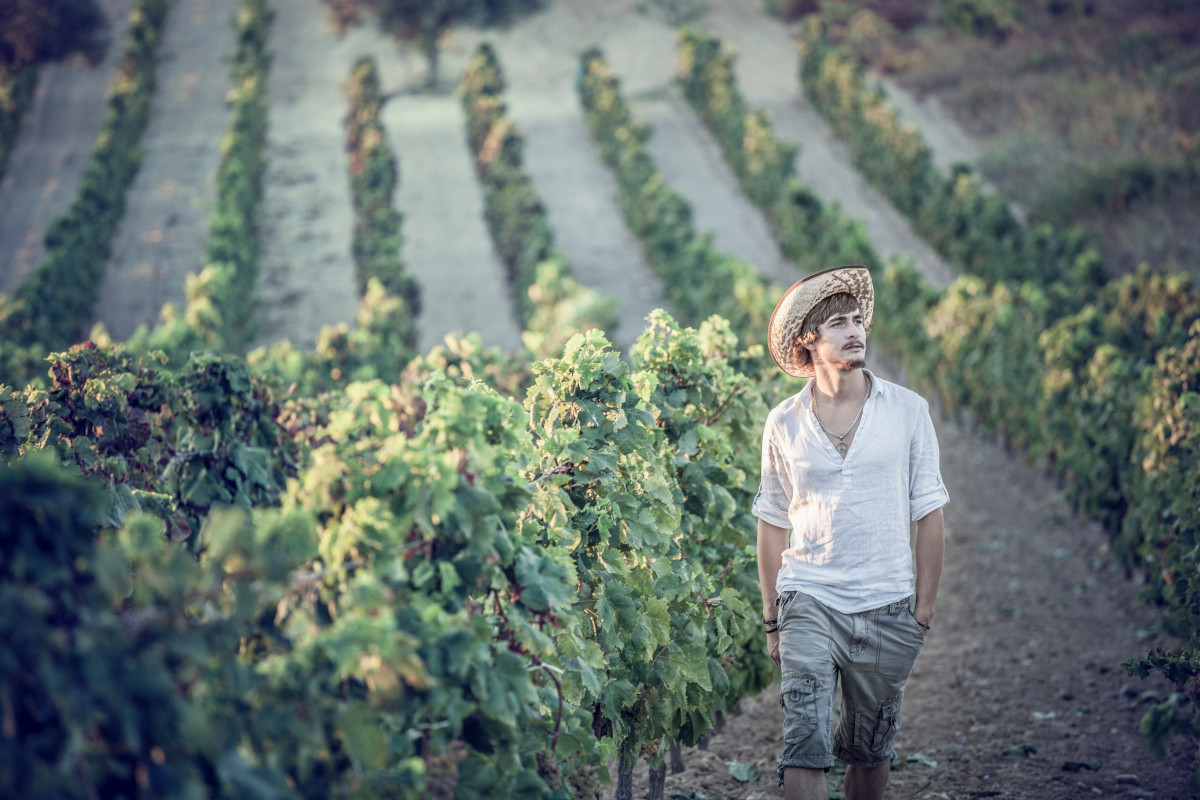 Tesori enologici in Sardegna: viaggio sensoriale tra cantine e vitigni